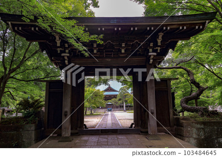 The temple gate 103484645