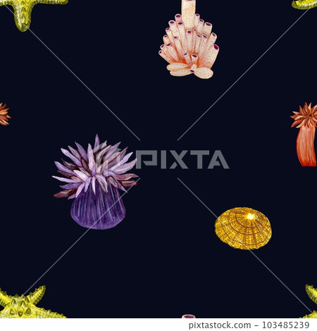 Water plant seashell sea black pattern watercolor Water plant seashell sea black pattern watercolor 103485239