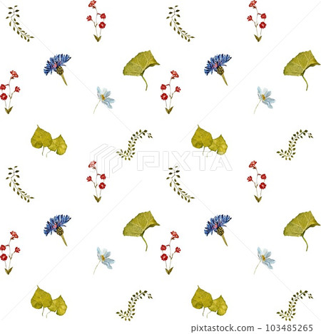 Flower red blue lianas simple watercolor pattern  103485265
