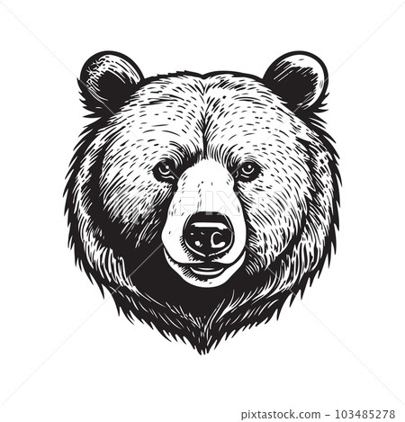bear, vintage logo concept black and white color, hand drawn illustration 103485278