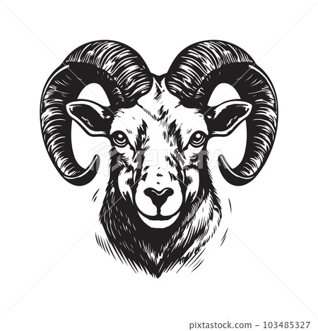 aoudad, vintage logo concept black and white color, hand drawn illustration aoudad, vintage logo concept black and white color, hand drawn illustration 103485327