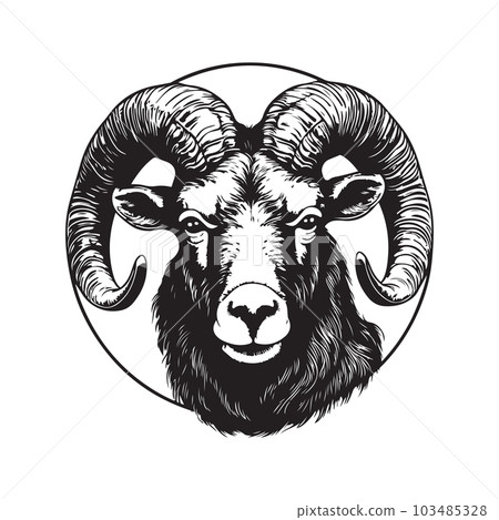 aoudad, vintage logo concept black and white color, hand drawn illustration aoudad, vintage logo concept black and white color, hand drawn illustration 103485328