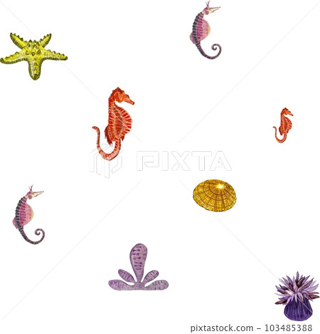 Sea horse starfish coral ocean pattern watercolor 103485388