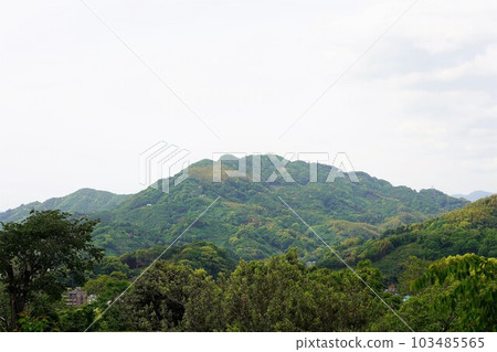 Fresh green city area seen from Uwajima Castle Fresh green city area seen from Uwajima Castle 103485565