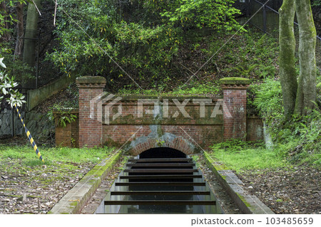 Suirokaku Upper Canal Water Line Lake Biwa Canal Fresh green season 103485659