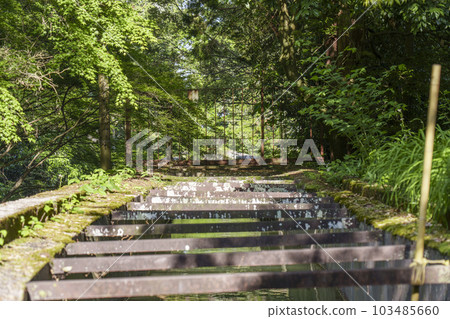 水陸閣上游運河水線琵琶湖運河新綠季節 103485660