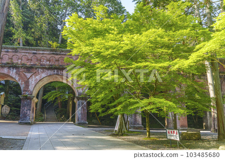 充滿懷舊氣息的南禪寺水樓閣 新綠的季節(京都市左京區南禪寺) 充滿懷舊氣息的南禪寺水樓閣 新綠的季節(京都市左京區南禪寺) 103485680