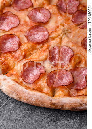 Tasty fresh pizza with salami, cheese, tomatoes, spices and salt 103486064