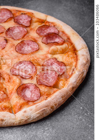Tasty fresh pizza with salami, cheese, tomatoes, spices and salt 103486066