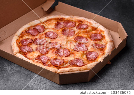 Tasty fresh pizza with salami, cheese, tomatoes, spices and salt 103486075