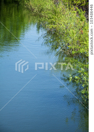 Landscape at the waterside Landscape at the waterside 103486446