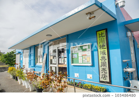 Joint shop on Yonaguni Island 103486480