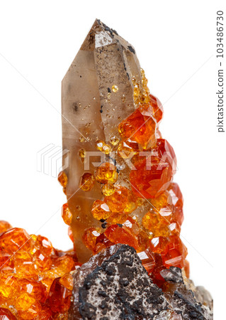 macro mineral stone Spessartine, orange, red garnet with quartz on white background macro mineral stone Spessartine, orange, red garnet with quartz on white background 103486730