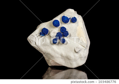 Macro mineral stone Azurite in siltstone against black background 103486776