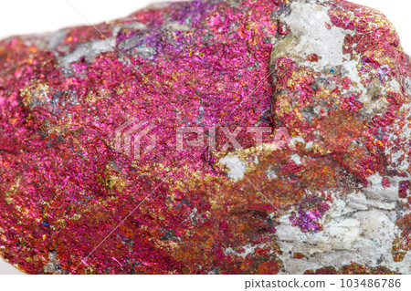 Macro mineral stone Chalcopyrite in the rock on a white background Macro mineral stone Chalcopyrite in the rock on a white background 103486786