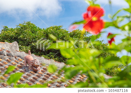 Shisa of Taketomi Island Okinawa Ishigaki Island 103487116