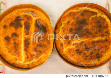 美味的芝士蛋糕的形象 美味的芝士蛋糕的形象 103488783