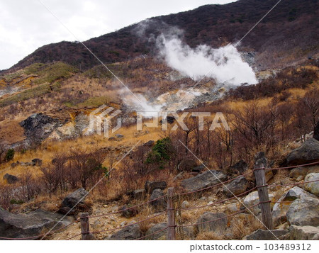 Owakudani mountain scenery Owakudani mountain scenery 103489312