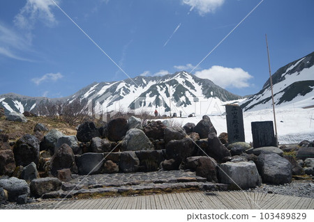 Tateyama mountain range of early summer 103489829