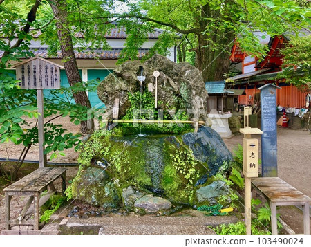京都藤之森神社,幸運之神,學問之神,馬之神 京都藤之森神社,幸運之神,學問之神,馬之神 103490024