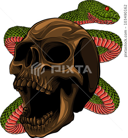vector illustration of frog on the skull and leaves vector illustration of frog on the skull and leaves 103490162