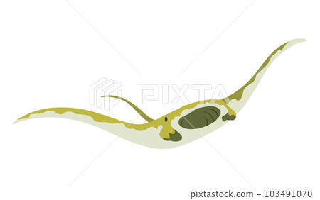 Stingray fish. Sea animal floating underwater. Cute cartoon stingray. Adorable sea creature isolated on white background. Wildlife, nature concept. Vector illustration of manta ray Stingray fish. Sea animal floating underwater. Cute cartoon stingray. Adorable sea creature isolated on white background. Wildlife, nature concept. Vector illustration of manta ray 103491070