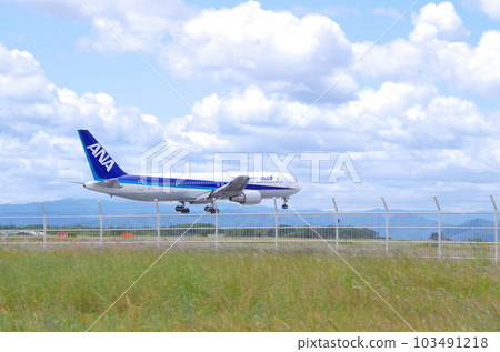 Passenger plane landing at Yonago Kitaro Airport Passenger plane landing at Yonago Kitaro Airport 103491218
