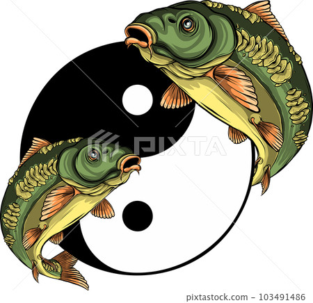 vector illustration of two carp fishes in the circle of yin yang symbol. 103491486