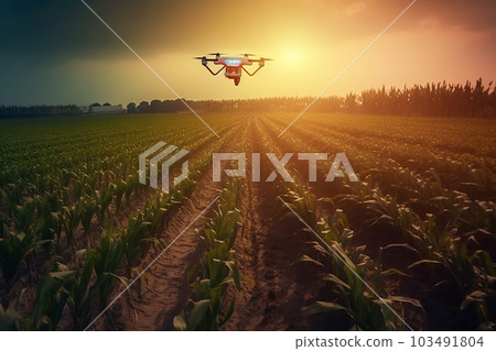 Drone Flying in the corn field with Ai Generator Drone Flying in the corn field with Ai Generator 103491804