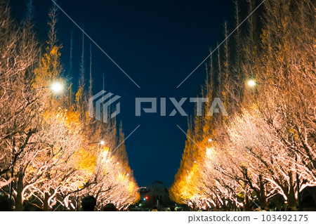 [#Tokyo] Ginkgo trees in Meiji Jingu Gaien illuminated at night 103492175