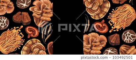 Watercolor medicinal mushroom frame, adaptogenic plant. Hand-drawn illustration isolated on black background. Perfect concept for healthy chinese medicine popular superfood, design packing 103492501