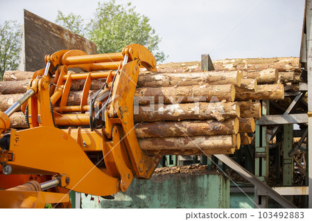 Wood processing industry. Loader with logs. Industrial wood processing Wood processing industry. Loader with logs. Industrial wood processing 103492883