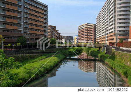 新橋 2023 芝川 新橋 2023 芝川 103492962