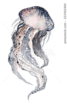 Watercolor illustration underwater marine animals octopus, stingray, jellyfish. Marine inhabitants of the underwater world. illustration, education, postcard, sticker, sublimation. Watercolor illustration underwater marine animals octopus, stingray, jellyfish. Marine inhabitants of the underwater world. illustration, education, postcard, sticker, sublimation. 103492984