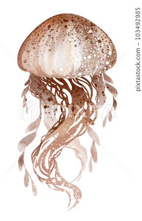 Watercolor illustration underwater marine animals octopus, stingray, jellyfish. Marine inhabitants of the underwater world. illustration, education, postcard, sticker, sublimation. 103492985