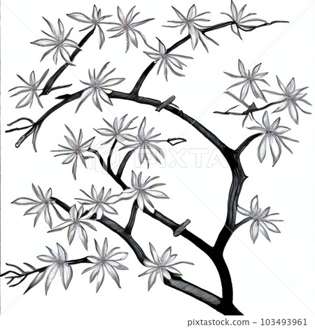 Beautiful Flower Beautiful Flower 103493961