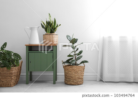 Different tropical plants in wicker pots near white wall at home Different tropical plants in wicker pots near white wall at home 103494764
