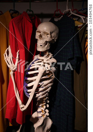 Artificial human skeleton model among clothes in wardrobe Artificial human skeleton model among clothes in wardrobe 103494768