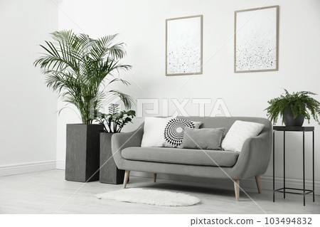 Beautiful potted plants in modern living room 103494832