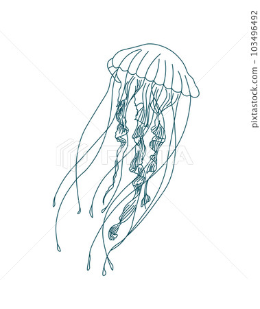 Illustration, contour jellyfish on a white background. Print, sketch, vector Illustration, contour jellyfish on a white background. Print, sketch, vector 103496492