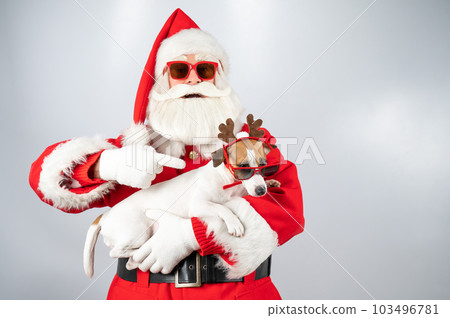 Portrait of santa claus in sunglasses and dog jack russell terrier in rudolf reindeer ears on a white background. Portrait of santa claus in sunglasses and dog jack russell terrier in rudolf reindeer ears on a white background. 103496781
