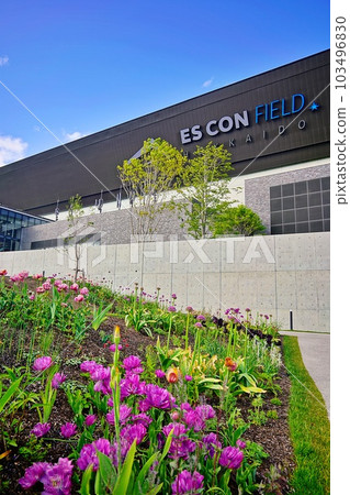 新球場 Esconfield HOKKAIDO 103496830