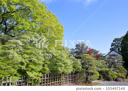 A Japanese garden that shows the expressions of each season 103497148