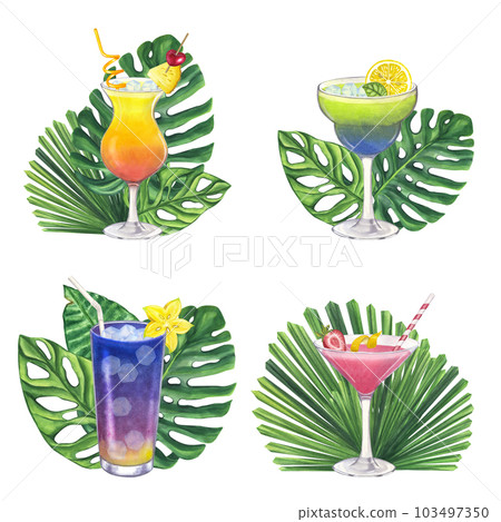Set of cocktails Sex on the beach, Tequila Sunrise Cosmopolitan Daiquiri. Tropical leaves Monstera Licuala. Hand drawn watercolor illustration isolated on white background. For bar restaurant menu 103497350