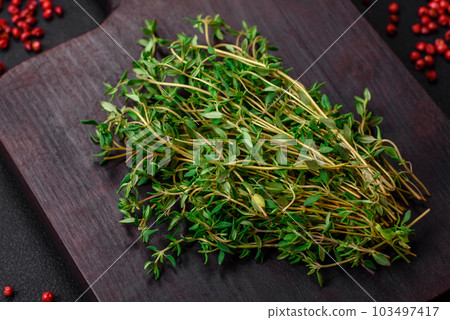 Empty wooden cutting board with thyme, spices, salt and herbs Empty wooden cutting board with thyme, spices, salt and herbs 103497417
