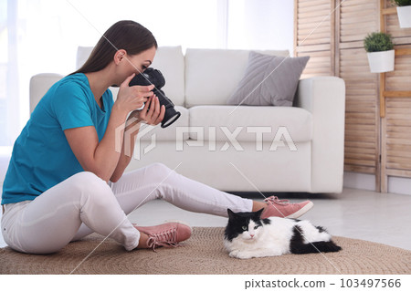 Professional animal photographer taking picture of beautiful cat at home Professional animal photographer taking picture of beautiful cat at home 103497566