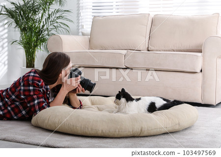 Professional animal photographer taking picture of beautiful cat at home Professional animal photographer taking picture of beautiful cat at home 103497569