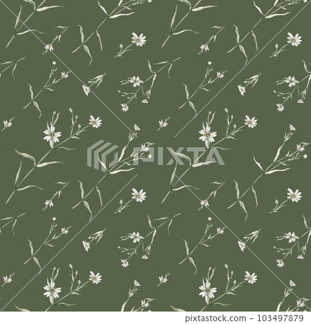 Watercolor seamless pattern with stellaria holostea. Rabelera holostea. Hand painted small white flower and leaves isolated on green background. Illustration for design, fabric, print or background. Watercolor seamless pattern with stellaria holostea. Rabelera holostea. Hand painted small white flower and leaves isolated on green background. Illustration for design, fabric, print or background. 103497879