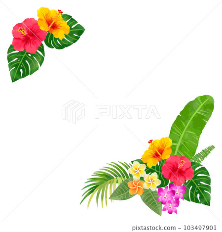 熱帶花草手繪水彩相框插圖 103497901