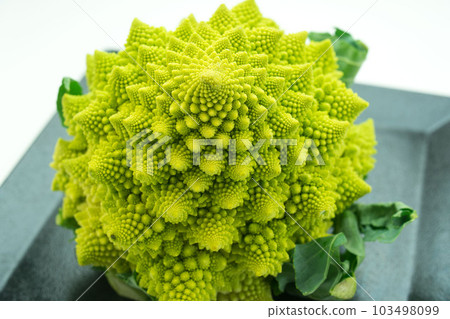 幾何圖案羅馬花椰菜 103498099